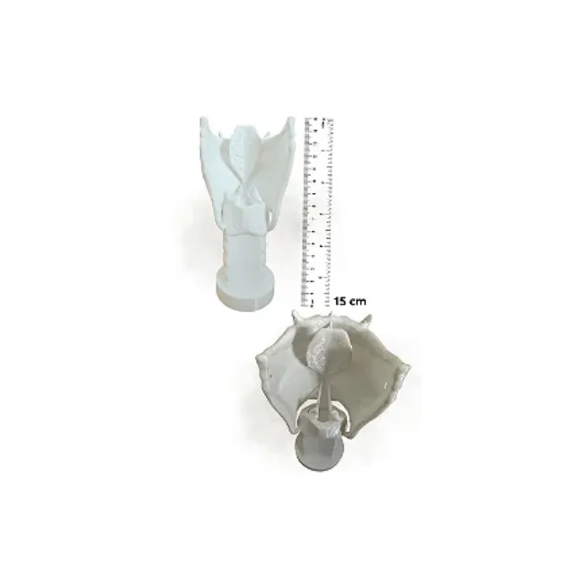 Foto do produto na loja: Laringe Anatômica 3D 15cm - Resistente e Detalhada / FonoComAmor®